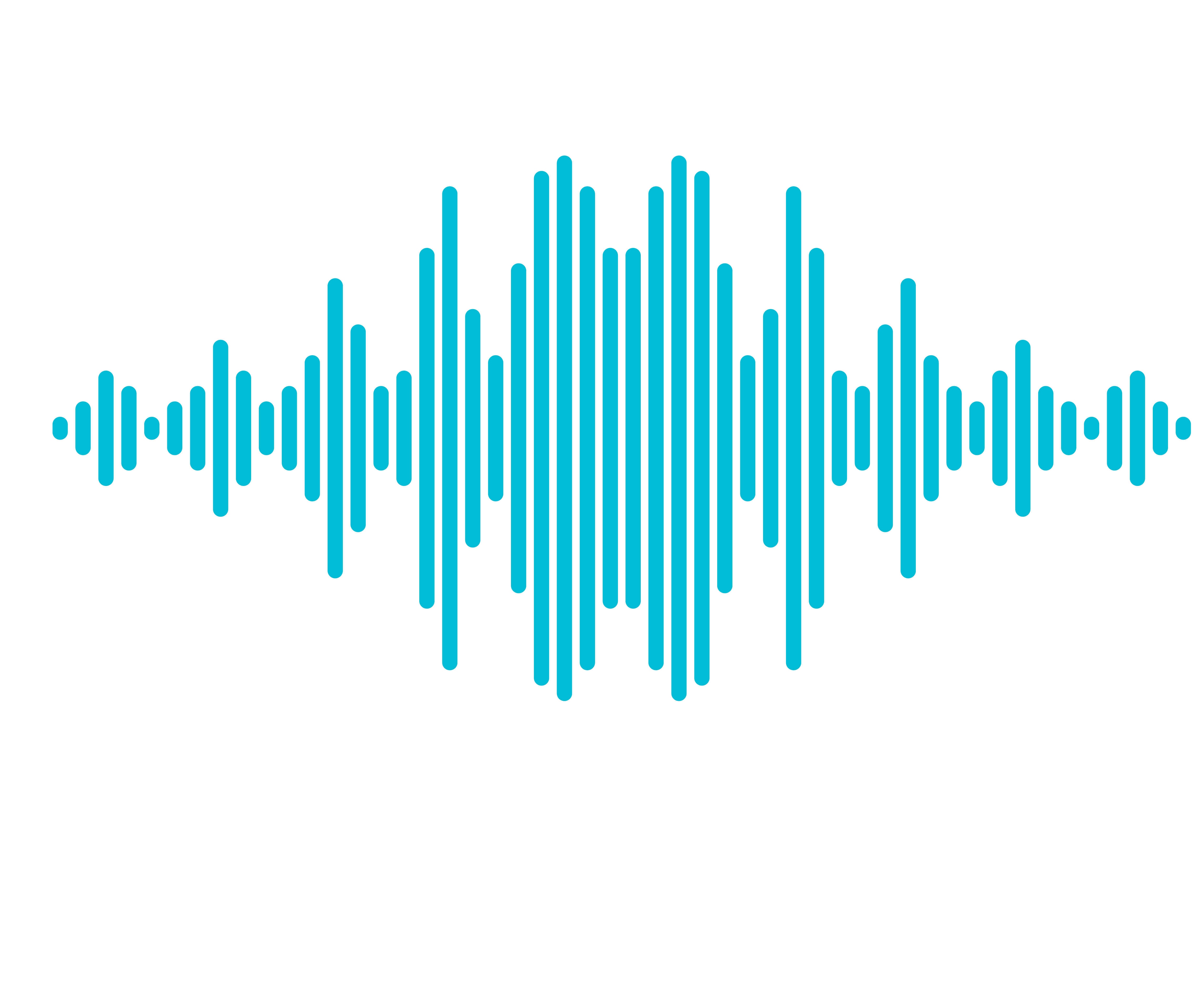 audio icon